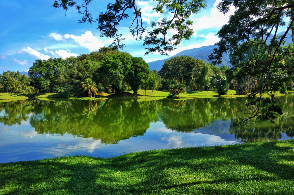 Beautiful green landscape with trees reflected in a calm lake under a blue sky